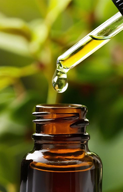 Aroma and Flavoring Laboratory